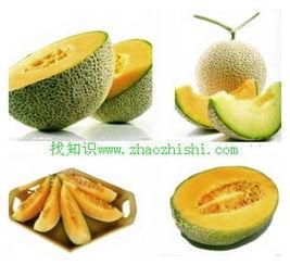 胃溃疡可以吃哈密瓜,营养与健康的完美结合