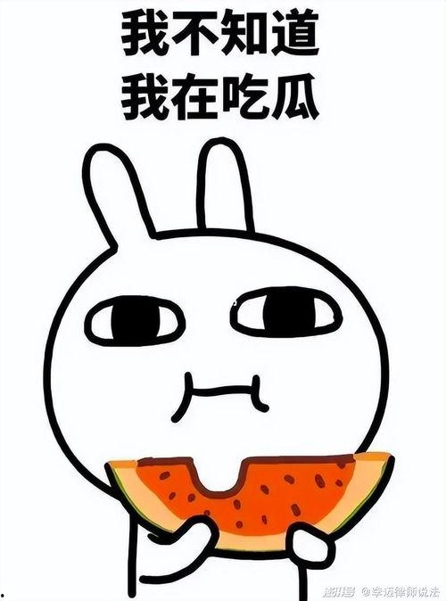 吃瓜小鸣是谁,吃瓜小鸣的崛起之路